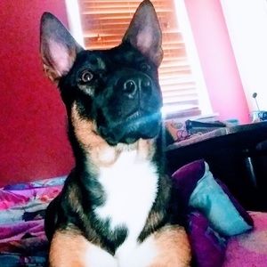 Meet your Posher, Adeli